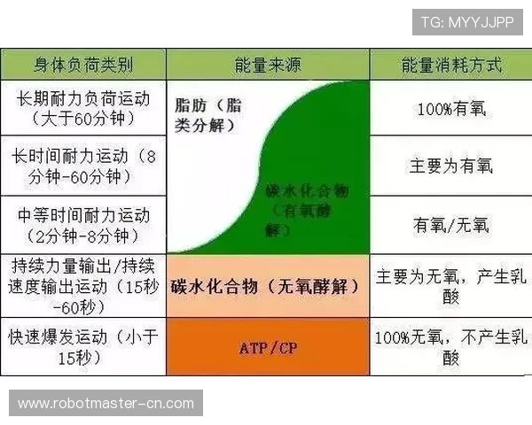 武汉足球队的耐力揭秘：从训练到比赛的全景探索与分析