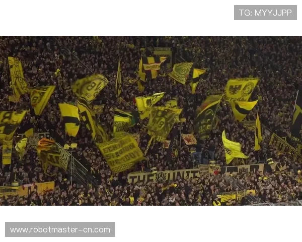 多特蒙德对阵霍芬海姆精彩直播全程回顾与分析